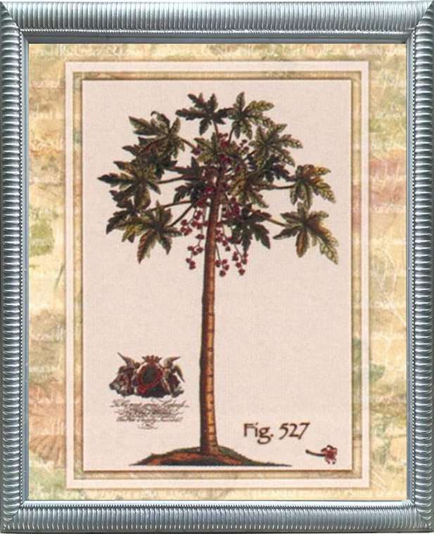 Impact Posters Gallery Vintage Tropical Palm Tree Fig 527 Silver Art Print Framed Wall Decoration Picture (20x24)