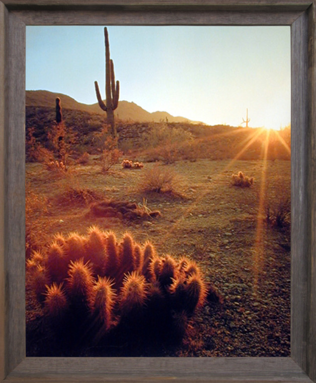 Impact Posters Gallery Southwest Picture Framed Wall Decoration Cactus Field Sunset Desert Landscape Scenic Barnwood Art Print (19x23)