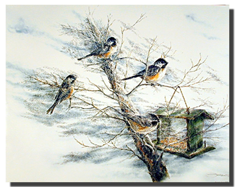 Chickadee Birds Posters