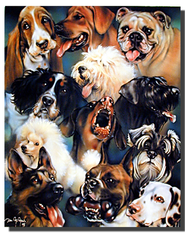 Dogs Collage Poster