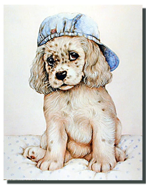 Spaniel Pup in Cap Poster