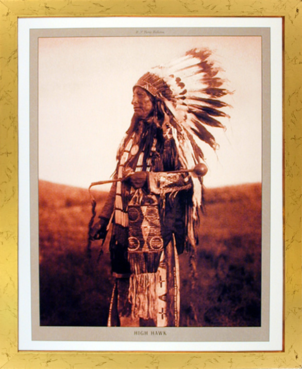 Framed Wall Decor Native American Poster - High Hawk Golden Picture Art Print (18x22)