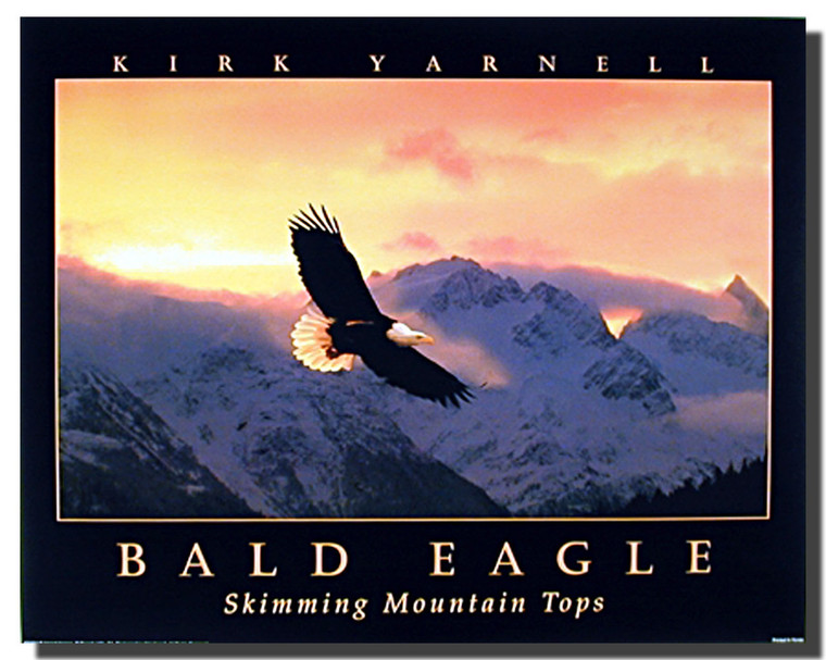 Eagle Sunset Posters- Nature Sky