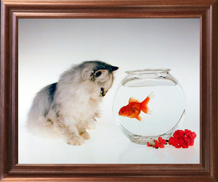 Framed Wall Decor Picture Cute Cat and Goldfish Funny Kitten Kids Room Mahogany Art Print