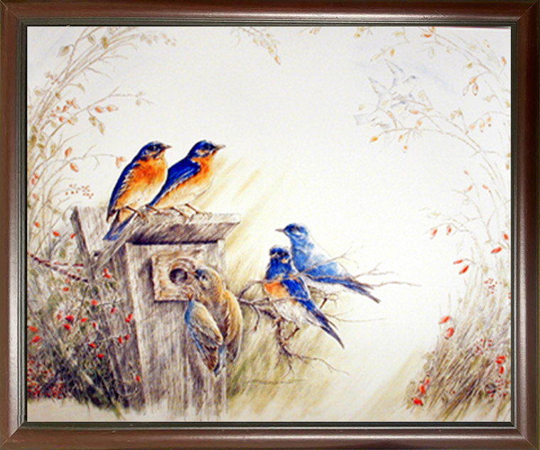 Framed Wall Decoration Picture Bluebirds on Tree Feeder Bird Animal Mahogany Art Print (20x24)