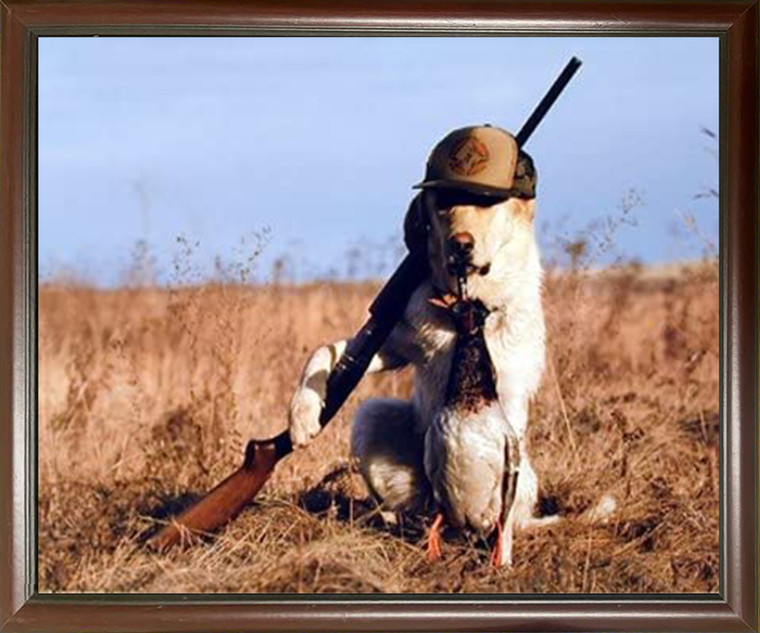 Impact Posters Gallery Funny Labrador Dog Gone Hunting Alan Carey Mahogany Black Framed Wall Decor Picture Art Print
