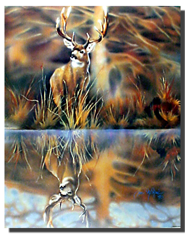 White Tailed Deer Poster