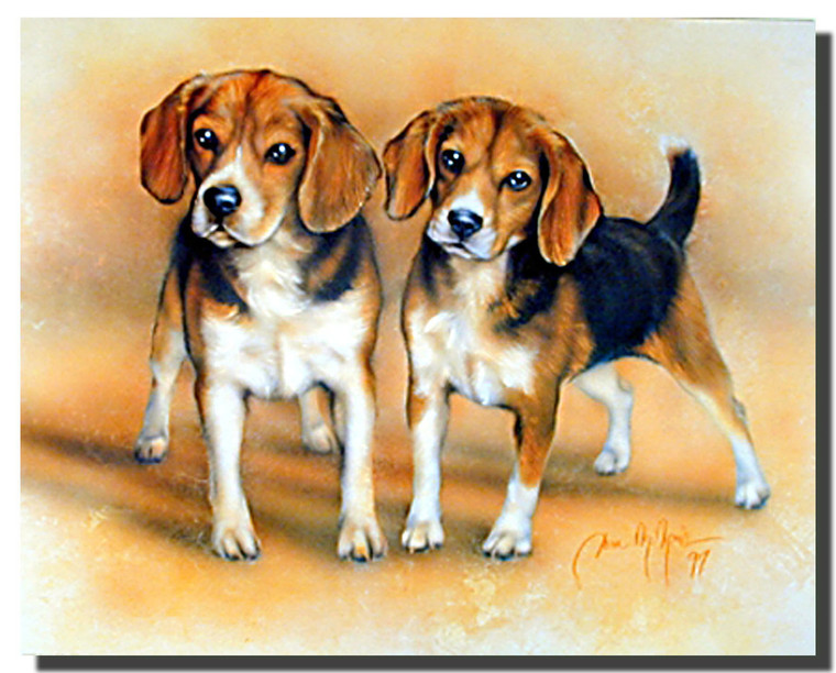 Two Beagle Puppies Poster