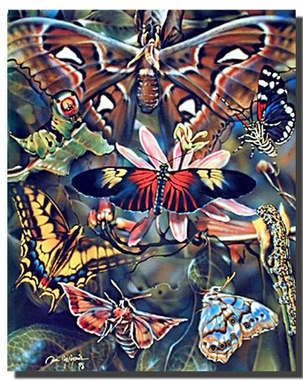 Butterflies Poster- Collage