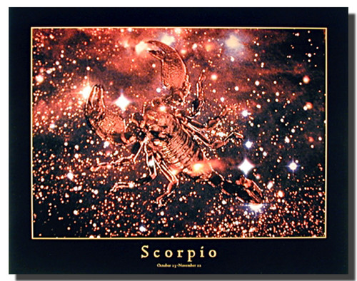 Scorpio Poster | Astrology Posters | Zodiac Posters
