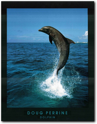 KJ205S22x28__35723.1608289751.