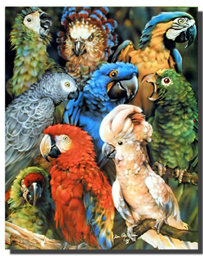 Parrot collage Poster | Animal Posters | Bird Posters