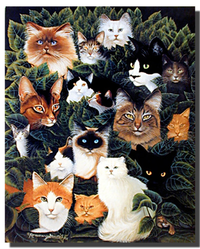 Cat Collage Picture | Animal Posters | Cat Posters