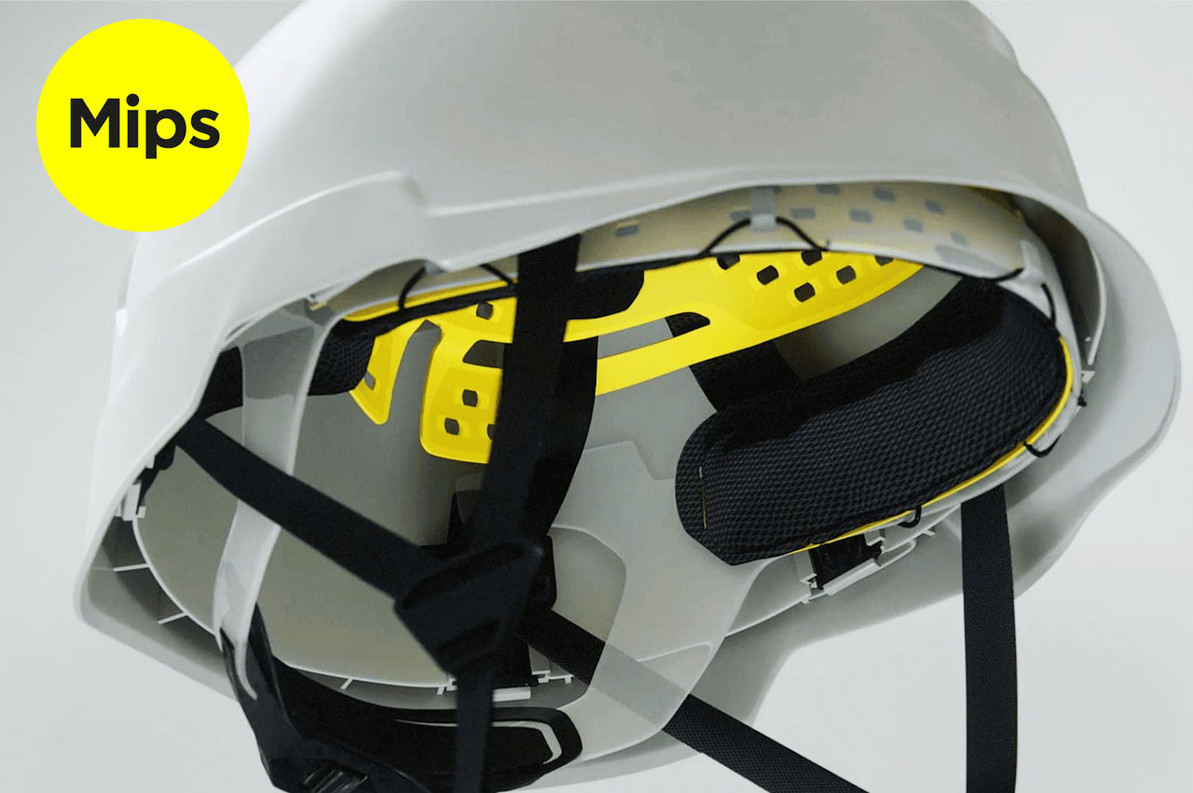 Understanding Mips Science 