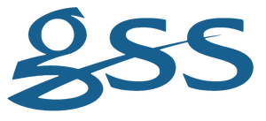 GSS