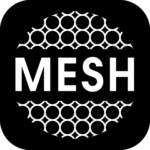 mesh2.png