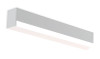 Westgate | SCXT-2FT-10-20W-MCTP-D-DL | SCXT-2FT-10-20W-MCTP-D-DL