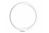 Current Lighting Solutions | FC12T9/CW | 33890