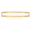 Luxrite | LR23295 | LED10"FLUSH/DR/BRS/5CCT/D