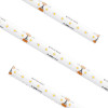 American Lighting | STLHD-WH-16 | STLHD-WH-16