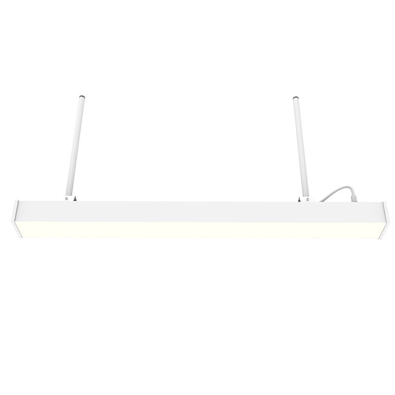 Westgate | SCX4-IP66-SUS-4FT-40-80W-MCTP | SCX4-IP66-SUS-4FT-40-80W-MCTP