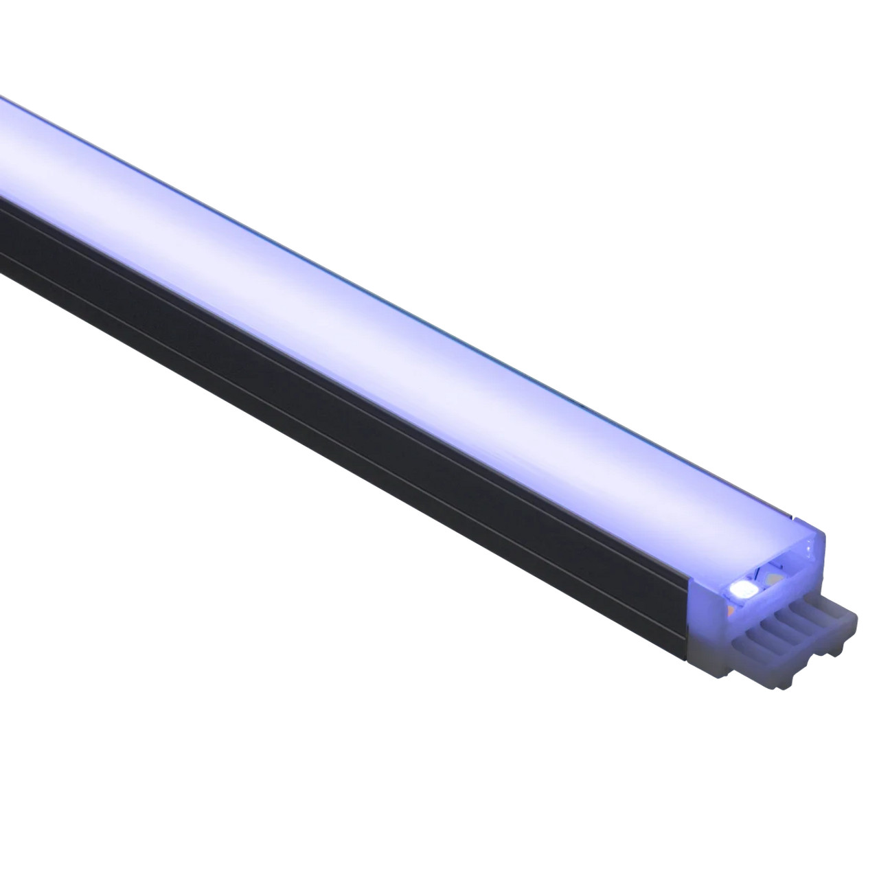 American Lighting | MLINK-24-RGBTW-12 | MLINK-24-RGBTW-12