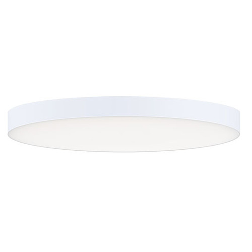 Maxim | 57663WTWT | 57663WTWT