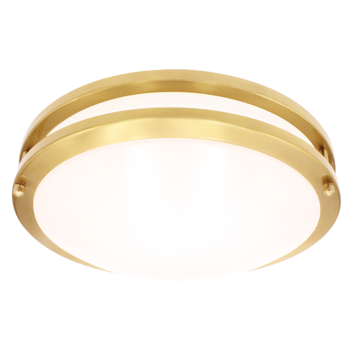 Luxrite | LR23295 | LED10"FLUSH/DR/BRS/5CCT/D
