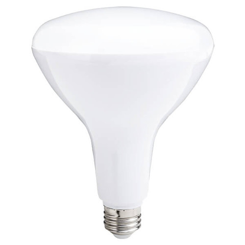 Ushio | 1004946 | 1004946