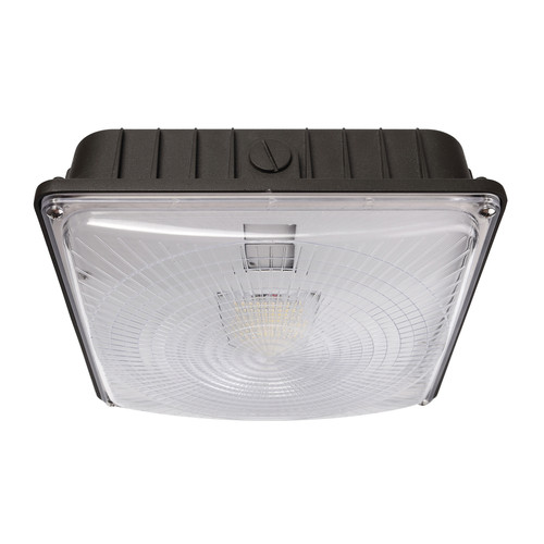 ASD Lighting | ASD-CAN05-100D50-BZ-PRM | ASD-CAN05-100D50-BZ-PRM ASD Lighting | ASD-CAN05-100D50-BZ-PRM | ASD-CAN05-100D50-BZ-PRM