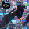 Pink Foyd The Best Of Pink Floyd: A Foot In The Door Vinyl Album