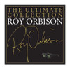 CD Art Roy Orbison-The Ultimate Collection CD Framed Album Art