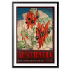  Wall Art's Australia Sturts Desert Pea Large 105cm x 81cm Framed A1 Art Print 