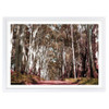  Wall Art's Margaret River Forest Road Large 105cm x 81cm Framed A1 Art Print 