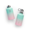  Iron Flask Wide Mouth Bottle with Spout Lid, Bubble Gum - 64oz/1900ml 