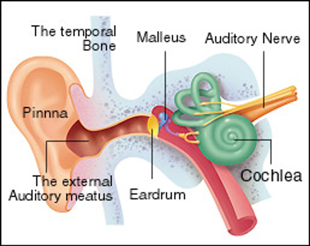 Bone Conduction Technology: How it works?