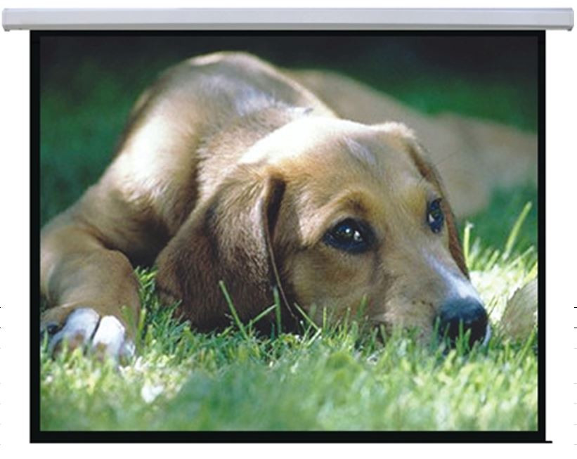 BRATECK Auto-lock Manual Projection Screen-72’’(1.45X1.10M) /(4:3 Ratio)