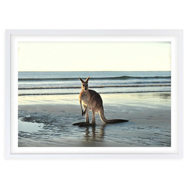  Wall Art's Kangaroo On Beach Large 105cm x 81cm Framed A1 Art Print 