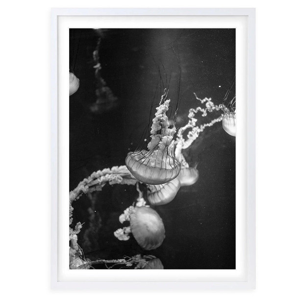  Wall Art's Monochrome Jellyfish Large 105cm x 81cm Framed A1 Art Print 