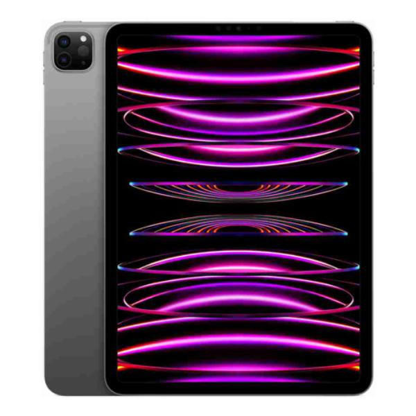 MISC Apple iPad Pro 256GB  11-Inch (4th Gen Wifi +Cellular)-Space Grey 