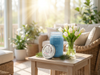 Blue Spruce Scented Natural Soy Wax Candle - 16 Ounce Mason Jar