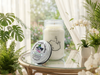 Aruba Coconut - Scented Natural Soy Wax Candle - 16 Oz Mason Jar