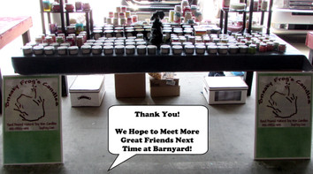 Sneaky Frog Showed Up at Barnyard Flea Market in Lexington, SC!