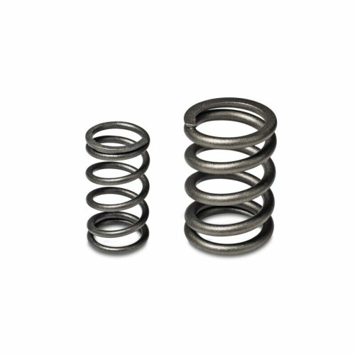 Skunk2 Tuner Series Valve Springs for 94-01 Integra GSR / Type R - 99-00 Civic S Skunk2 Tuner Series Valve Springs for 94-01 Integra GSR / Type R - 99-00 Civic S