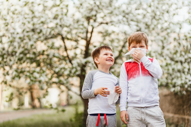 How to Alleviate Your Kids’ Allergies