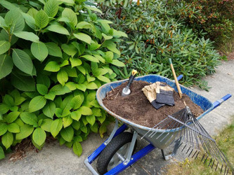 Top 7 Tips For Getting Your Children Involved In Yard Maintenance