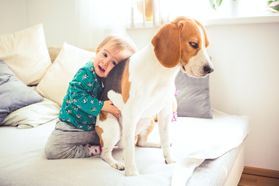 are beagles good with kids or toddlers