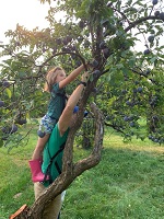 small-fruit.jpg