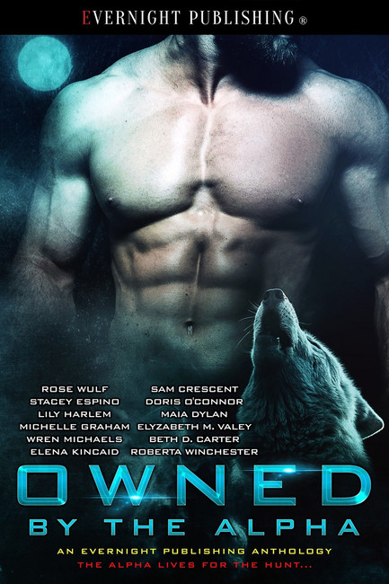 Genre: Erotic Paranormal Romance

Heat Level: 3

Word Count: 159, 200

ISBN: 978-1-77339-236-3

Editor: Audrey Bobak

Cover Artist: Jay Aheer