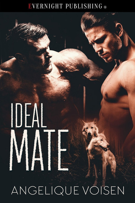 Genre: Alternative (MM) Paranormal Romance
Heat Level: 3
Word Count: 
ISBN: 978-1-77339-914-0
Editor: Karyn White
Cover Artist: Jay Aheer
